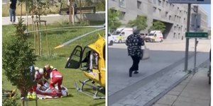 Assassino de escola na Áustria deixou carta antes de matar 10