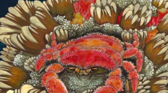 Caranguejo%20pr%C3%A9-hist%C3%B3rico%20muda%20a%20hist%C3%B3ria%20da%20Ant%C3%A1rtida