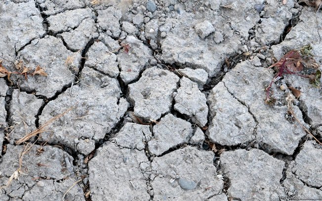 Rachaduras no leito seco do rio Reno, uma das principais hidrovias da Europa