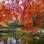 O Parque Korakuen impressiona por seu clima de tranquilidade, conferido pelos salgueiros coloridos e pelo paisagismo limpo. Foto: Pinterest