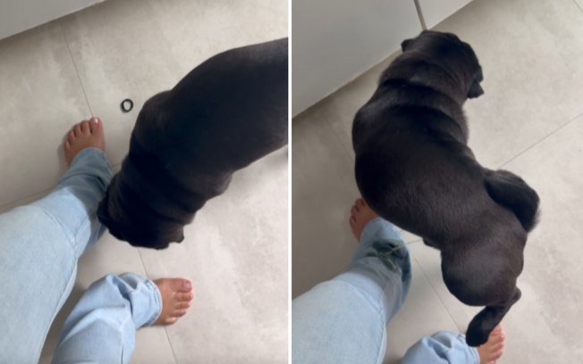 412y62b5o0xw1pibz69vazefr