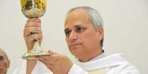 Leão XIV: qual a ligação do felino com a Igreja Católica?