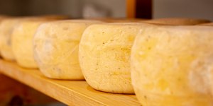 Queijo vira garantia bancária e sustenta tradição italiana