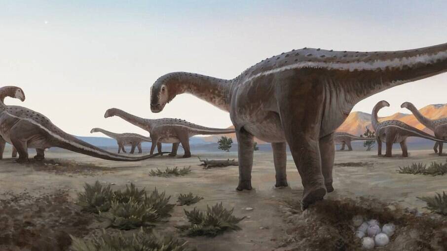 Ninho de dinossauro é encontrado em Minas Gerais; vinte ovos foram analisados