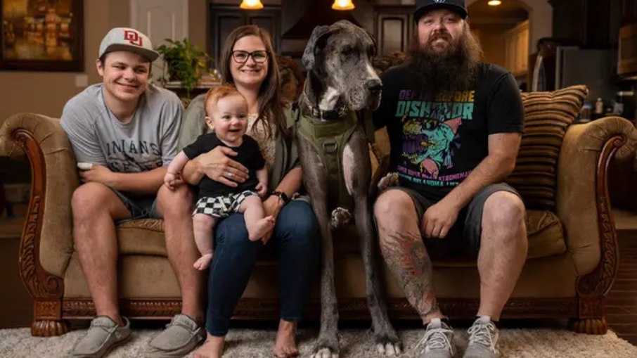Zeus, o cão vivo mais alto do mundo é diagnosticado com câncer