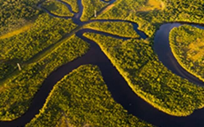 Consumo sustentável de produtos da Amazônia contribui na preservação ambiental