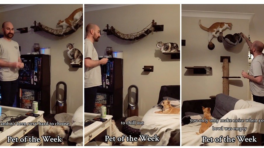 Tutor promove premiação de 'Pet da Semana' e vídeo viraliza nas redes sociais