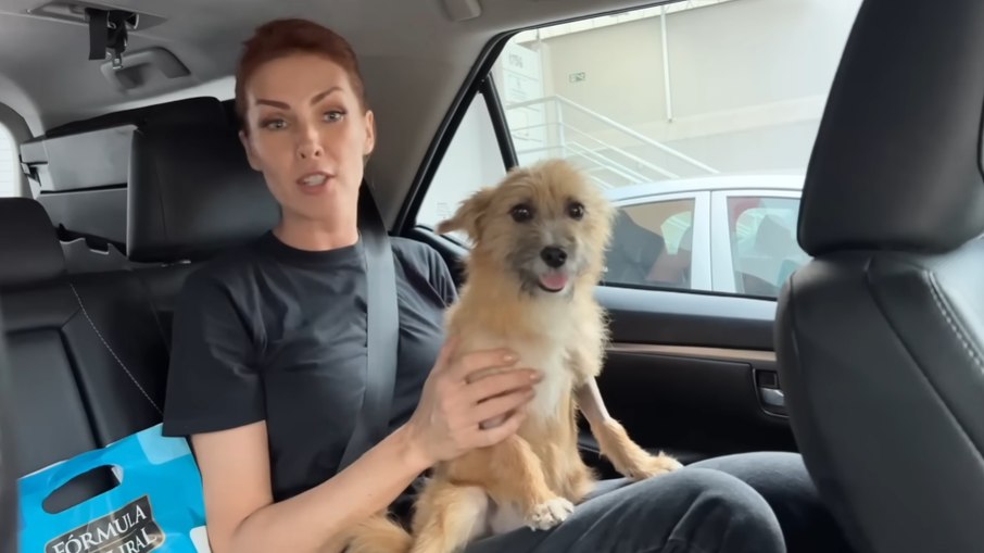 Ana Hickmann adota cachorro que resgatou em rodovia