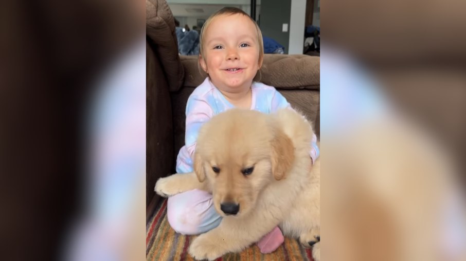 Menina encanta ao apresentar seu cachorro