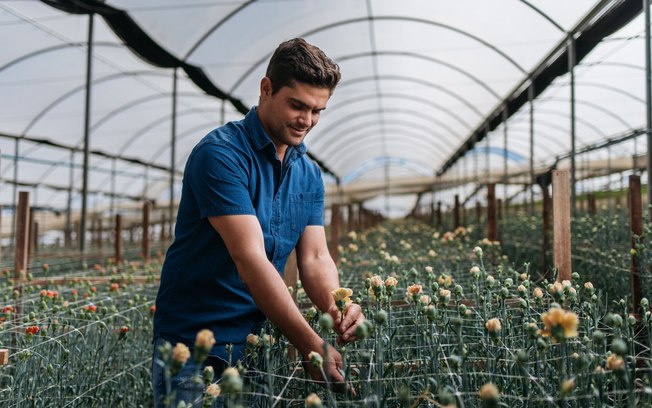 Primavera destaca diversidade no mercado de flores