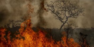 Área queimada no Brasil em 2024 equivale ao território da Itália
