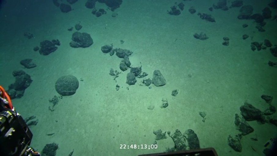 Espécie inédita foi localizada a quase 1,8 mil metros de profundidade durante expedição no fundo do oceano Espécie inédita foi localizada a quase 1,8 mil metros de profundidade durante expedição no fundo do oceano