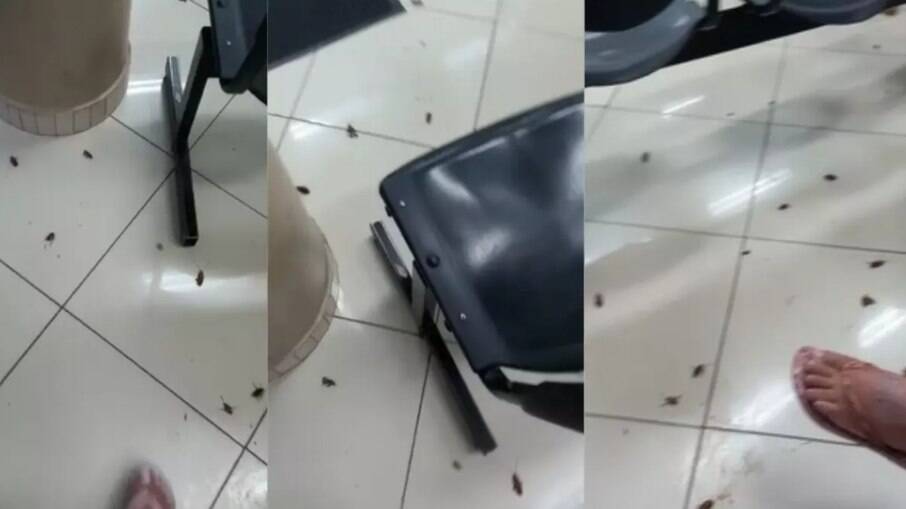 Infestação de barata foi flagrada na recepção do hospital.