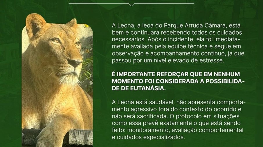 Nota do zoológico sobre Leona Nota do zoológico sobre Leona
