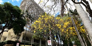 Veja como será o funcionamento dos serviços municipais no feriado