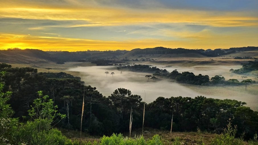 Frio intenso atinge Santa Catarina