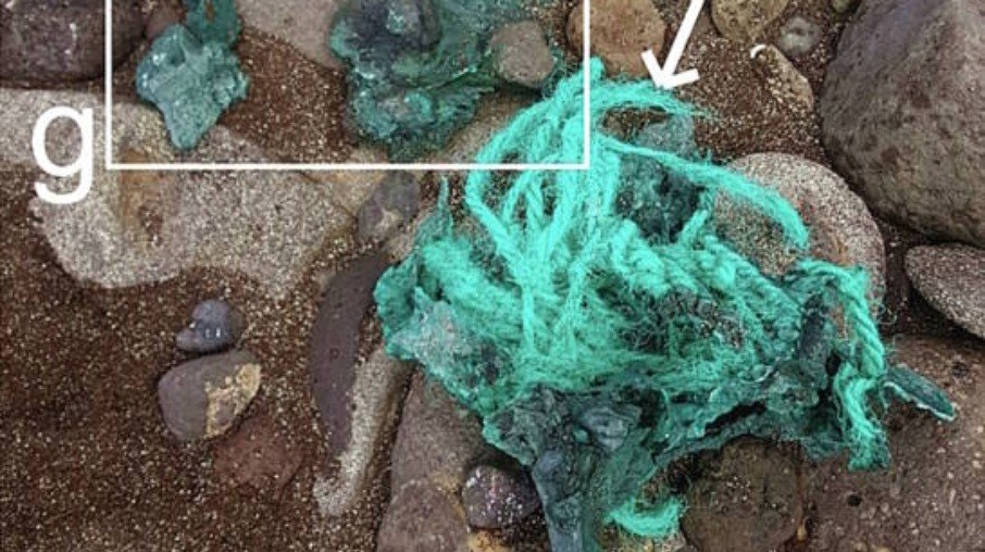 Fragmentos de cordas visíveis em uma praia