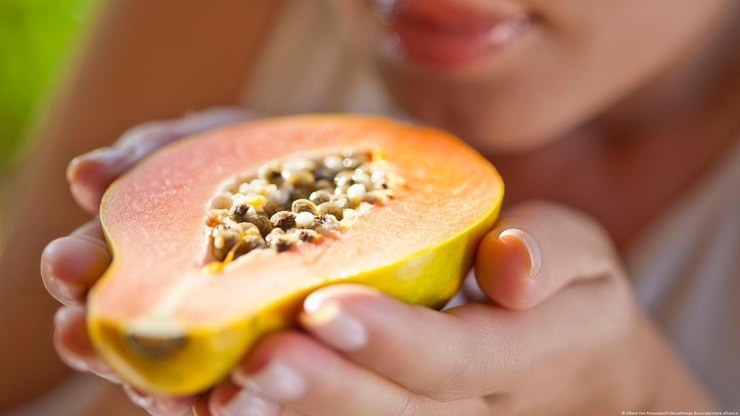 Estudo avalia anticoncepcional masculino feito de mamão