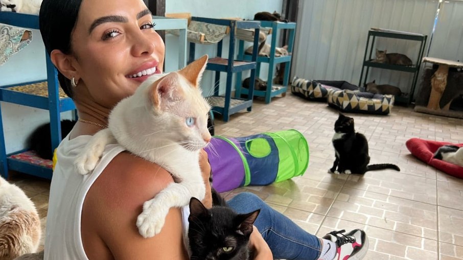 Aline Mineiro doa mil peças para bazar beneficente em prol de gatos abandonados