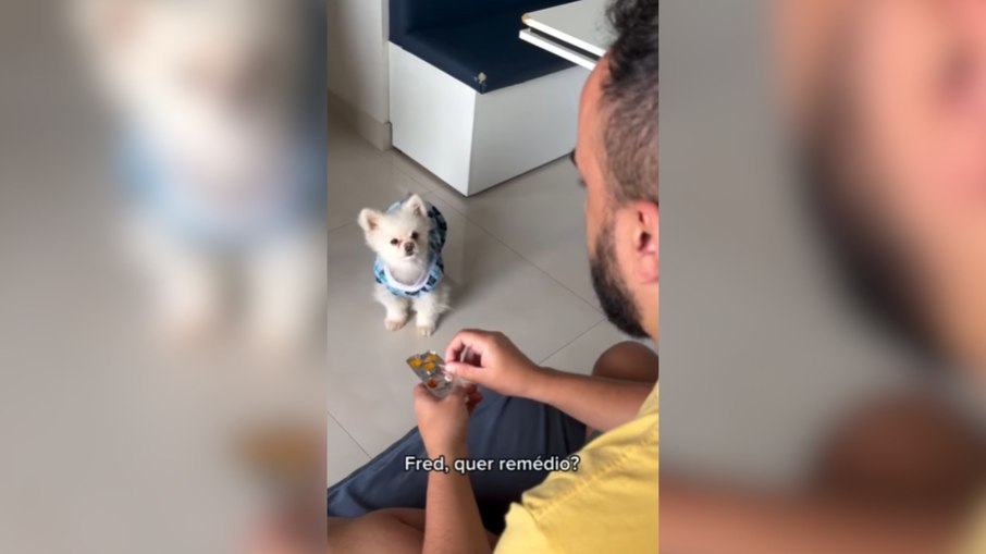 Cachorro encanta a web ao tomar remédio sem drama ou truques Cachorro encanta a web ao tomar remédio sem drama ou truques