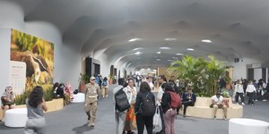 COP30 debate ações concretas para adaptação climática