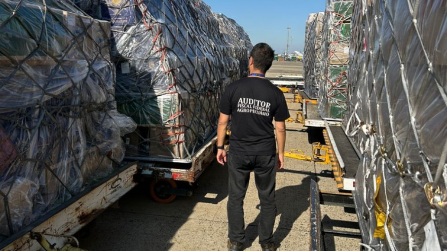 Por se tratar de um item perecível, as flores necessitam de transporte e armazenamento sob temperatura controlada (2°C a 8°C) Por se tratar de um item perecível, as flores necessitam de transporte e armazenamento sob temperatura controlada (2°C a 8°C)