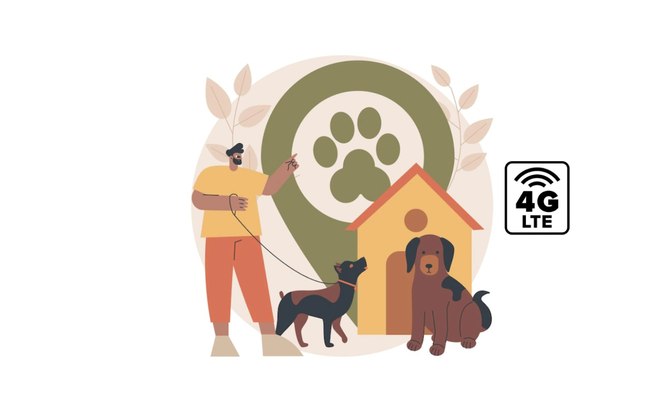 Tecnologia 4G oferece auxílio na localização de pets perdido