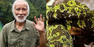 Chinês que cria cobras em casa sobrevive a nove picadas