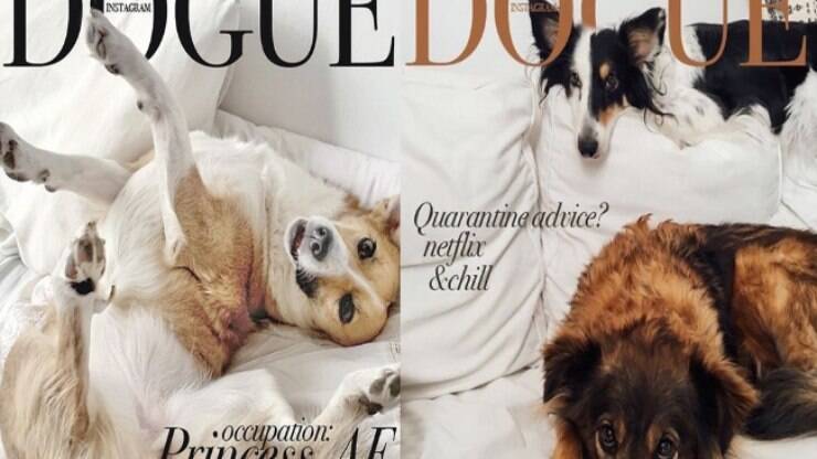 Desafio Vogue: donos compartilham montagens de cães em capas da revista