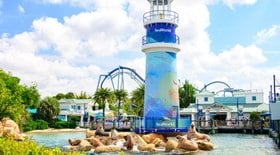 SeaWorld em Orlando faz 60 anos com novas atrações; confira