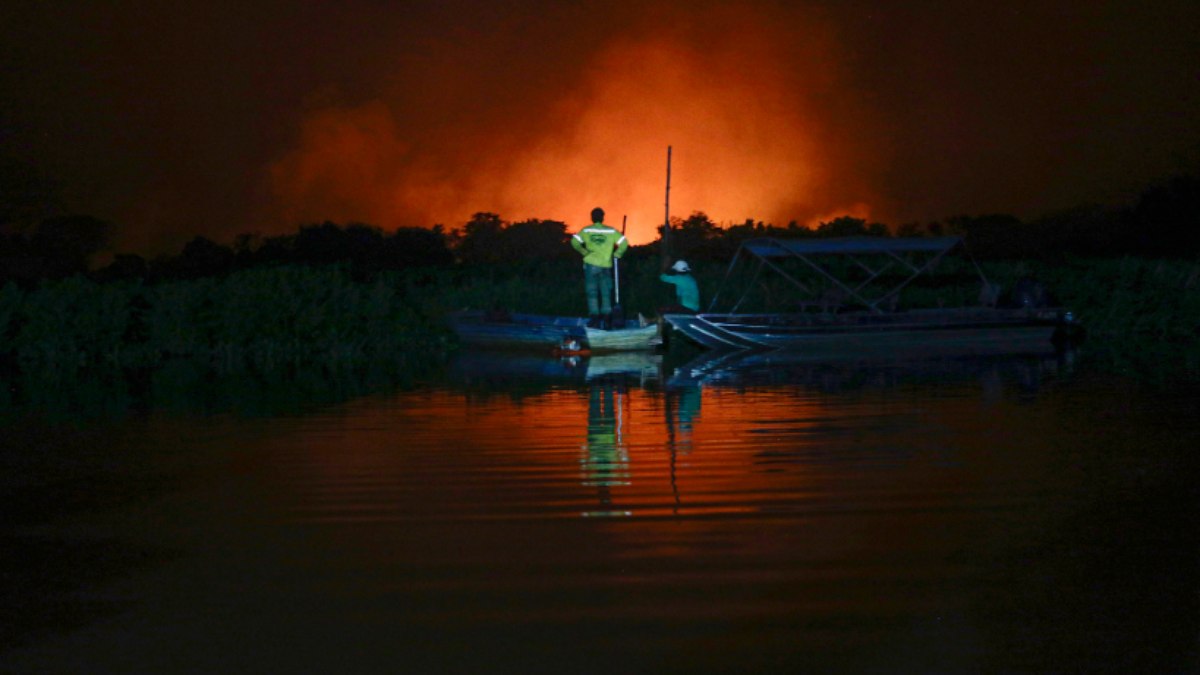 Incêndios castigam o Pantanal