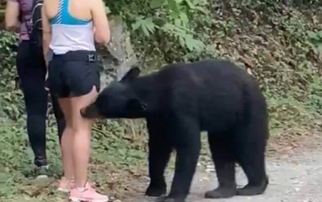 Urso abordou as garotas.