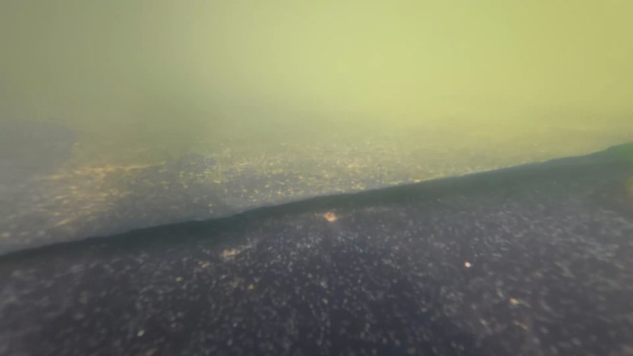 A água ficou verde com a proliferação de algas no espelho d'água em frente ao Memorial Lincoln, em Washington, nos EUA A água ficou verde com a proliferação de algas no espelho d'água em frente ao Memorial Lincoln, em Washington, nos EUA