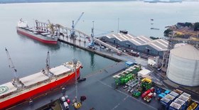 Liderança: exportações de caqui paulista batem recorde
