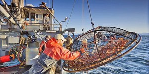 Pesca mortal: conheça um dos trabalhos mais perigosos do mundo