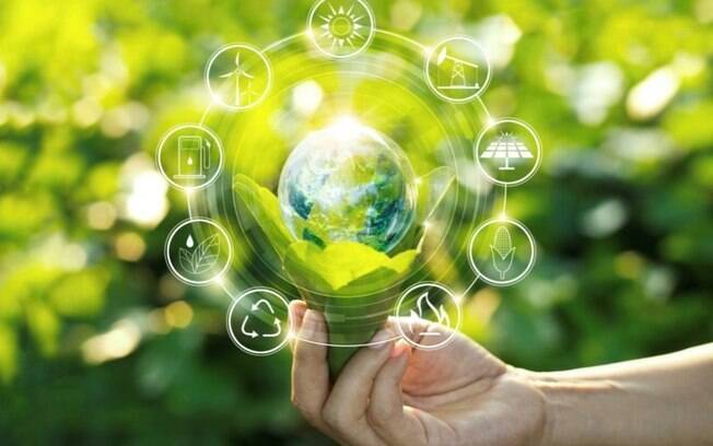 Responsabilidade ambiental se torna diferencial para consumidores e empresas