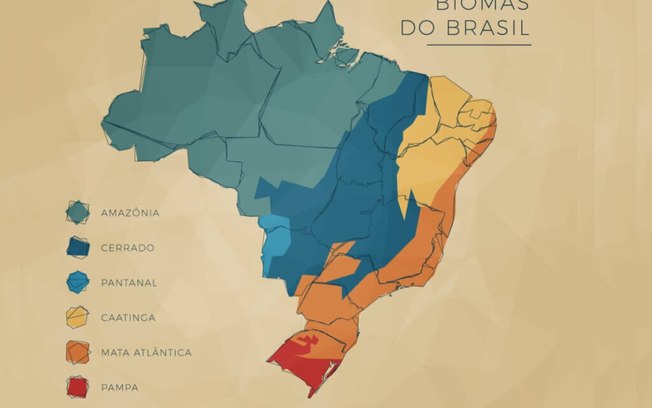 Conheça as características geográficas do Brasil