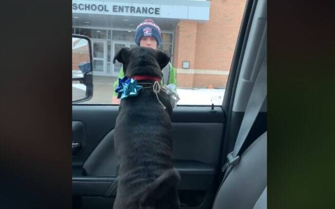 Carter vendo o cachorro perdido Piper no carro