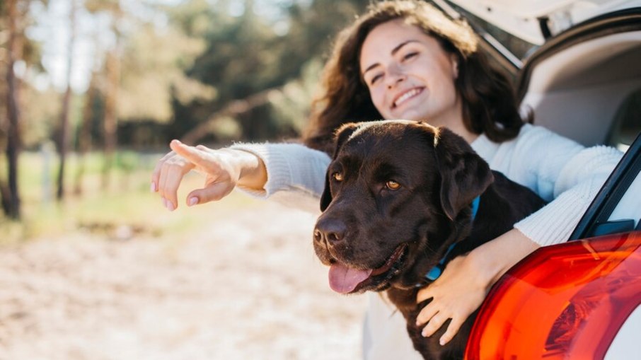 Cuidados essenciais para viajar com pets durante as férias