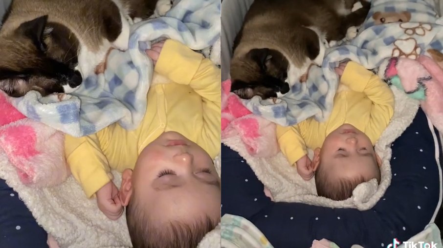 Gato faz companhia para bebê durante cochilo