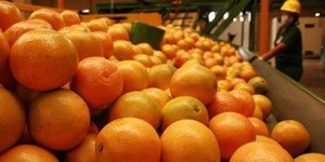 Tarifaço de 50% tem exceções; confira produtos que escaparam