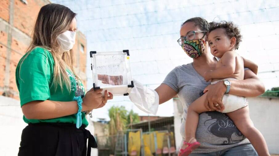 Moradores de Campinas recebem doação de método de controle biológico do mosquito Aedes Aegypti.
