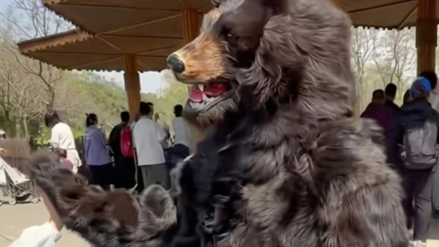 Zoológico oferece salário para quem viver como um urso Zoológico oferece salário para quem viver como um urso