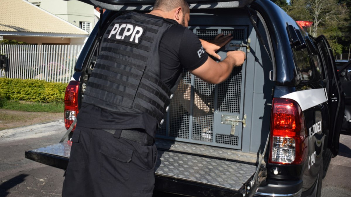 PCPR e PCSP prendem homem investigado por estelionato sentimental em São Paulo PCPR e PCSP prendem homem investigado por estelionato sentimental em São Paulo