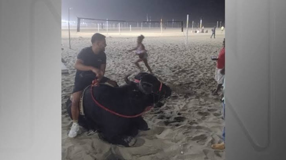 Bill, vindo de Minas Gerais, passeou pela praia de Copacana, no Rio