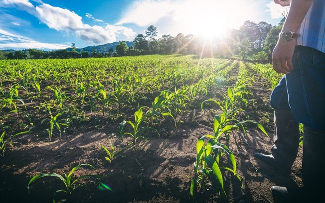 Novo El Niño reforça importância da gestão de riscos no agro
