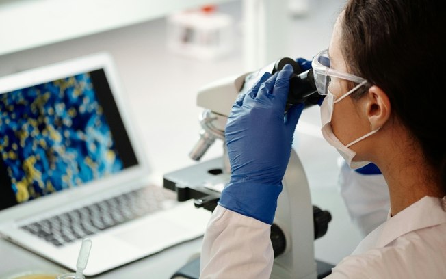 Cannabis medicinal apresenta avanço na medicina de precisão