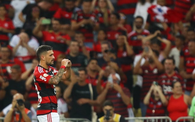 Flamengo tem bom desempenho como mandante no Campeonato Brasileiro 
