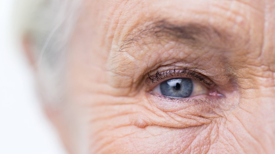 Doença representa a principal causa de cegueira irreversível em indivíduos com mais de 50 anos nos países desenvolvidos