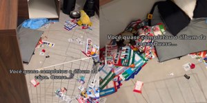 Cachorro destrói álbum da Copa com 600 figurinhas coladas